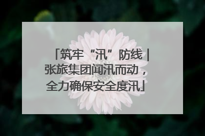 筑牢“汛”防线｜张旅集团闻汛而动，全力确保安全度汛