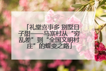 礼堂喜事多 别墅日子甜——马寨村从“穷乱差”到“全国文明村庄”的蝶变之路