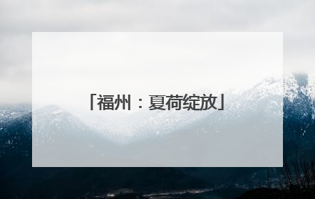 福州：夏荷绽放