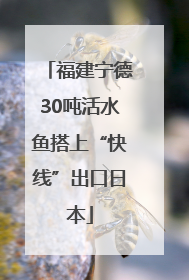 福建宁德30吨活水鱼搭上“快线”出口日本