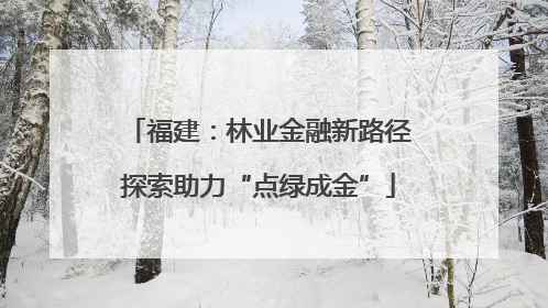 福建：林业金融新路径探索助力“点绿成金”