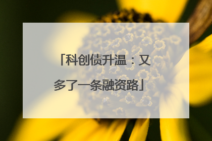科创债升温：又多了一条融资路