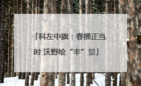 科左中旗：春播正当时 沃野绘“丰”景