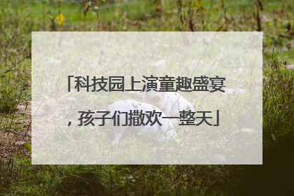 科技园上演童趣盛宴，孩子们撒欢一整天