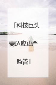 科技巨头需适应更严监管