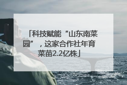 科技赋能“山东南菜园”，这家合作社年育菜苗2.2亿株