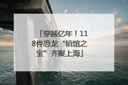穿越亿年！118件恐龙“镇馆之宝”齐聚上海