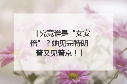 究竟谁是“女安倍”？她见完特朗普又见普京！