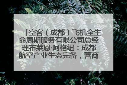 空客（成都）飞机全生命周期服务有限公司总经理布莱恩·阿格纽：成都航空产业生态完备，营商环境优势显著