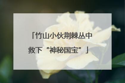 竹山小伙荆棘丛中救下“神秘国宝”