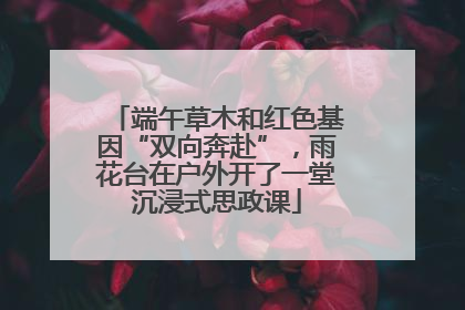端午草木和红色基因“双向奔赴”，雨花台在户外开了一堂沉浸式思政课