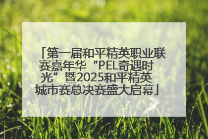 第一届和平精英职业联赛嘉年华“PEL奇遇时光”暨2025和平精英城市赛总决赛盛大启幕