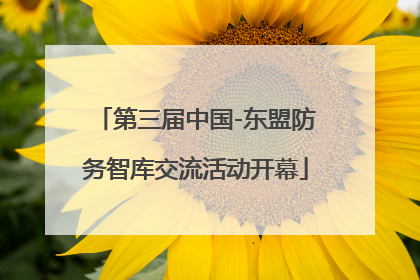 第三届中国-东盟防务智库交流活动开幕