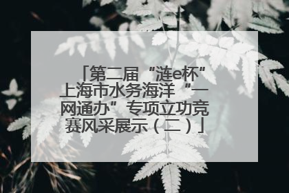 第二届“涟e杯”上海市水务海洋“一网通办”专项立功竞赛风采展示（二）