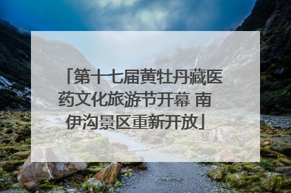 第十七届黄牡丹藏医药文化旅游节开幕 南伊沟景区重新开放