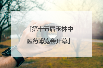 第十五届玉林中医药博览会开幕