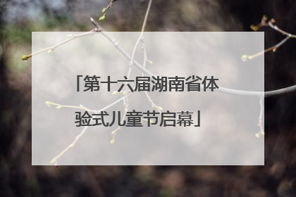 第十六届湖南省体验式儿童节启幕