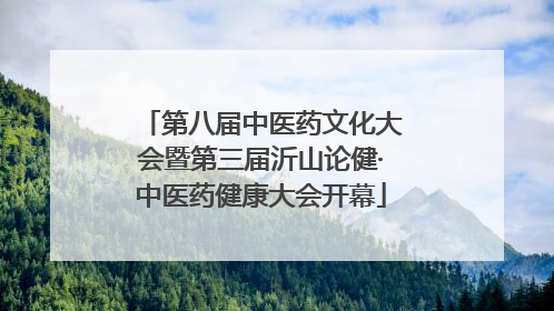 第八届中医药文化大会暨第三届沂山论健·中医药健康大会开幕