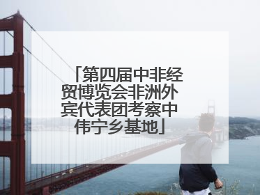 第四届中非经贸博览会非洲外宾代表团考察中伟宁乡基地