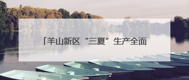 羊山新区“三夏”生产全面发力，护航农业稳产增收