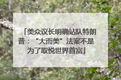 美众议长明确站队特朗普：“大而美”法案不是为了取悦世界首富