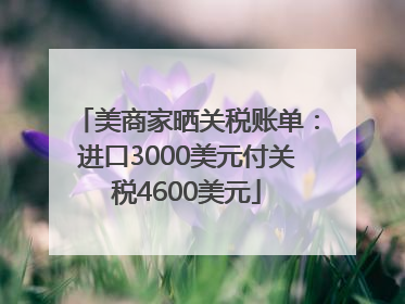 美商家晒关税账单：进口3000美元付关税4600美元