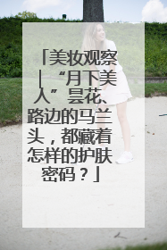 美妆观察｜“月下美人”昙花、路边的马兰头，都藏着怎样的护肤密码？