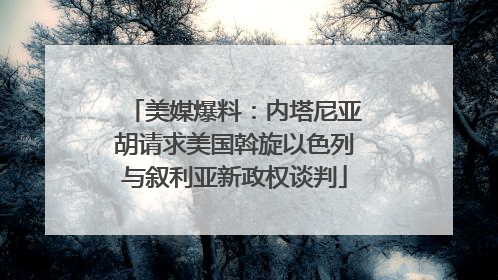 美媒爆料：内塔尼亚胡请求美国斡旋以色列与叙利亚新政权谈判