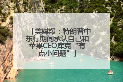 美媒爆：特朗普中东行期间承认自己和苹果CEO库克“有点小问题”
