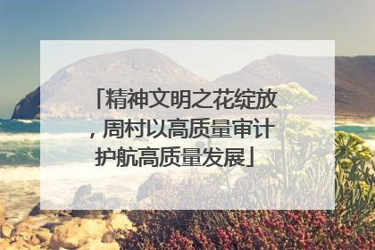 精神文明之花绽放，周村以高质量审计护航高质量发展