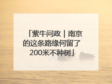 紫牛问政｜南京的这条路缘何留了200米不种树