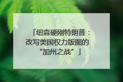 纽森硬刚特朗普：改写美国权力版图的 “加州之战”