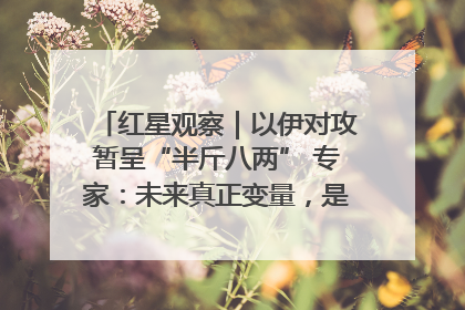 红星观察｜以伊对攻暂呈“半斤八两” 专家：未来真正变量，是美国是否进一步介入