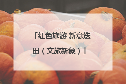 红色旅游 新意迭出（文旅新象）