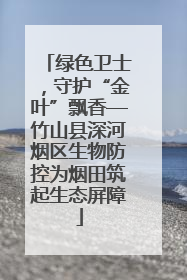绿色卫士，守护“金叶”飘香—竹山县深河烟区生物防控为烟田筑起生态屏障