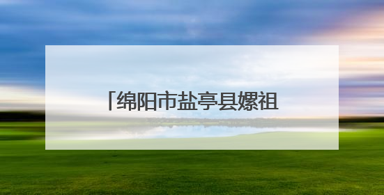 绵阳市盐亭县嫘祖幼儿园接待乐山市沙湾区政协观摩团