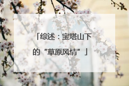 综述：宝塔山下的“草原风情”