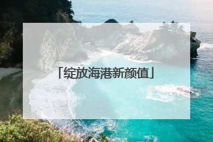 绽放海港新颜值