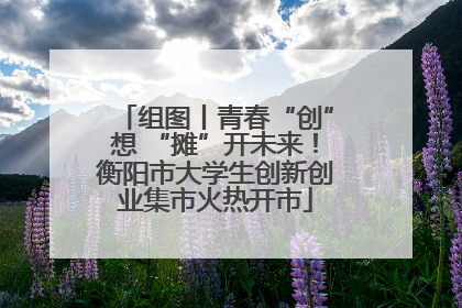 组图丨青春“创”想 “摊”开未来！衡阳市大学生创新创业集市火热开市