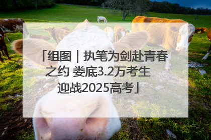组图｜执笔为剑赴青春之约 娄底3.2万考生迎战2025高考