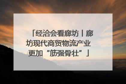经洽会看廊坊丨廊坊现代商贸物流产业更加“筋强骨壮”