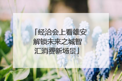 经洽会上看雄安 解锁未来之城智汇消费新场景