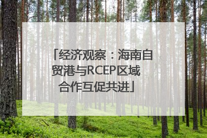 经济观察：海南自贸港与RCEP区域合作互促共进