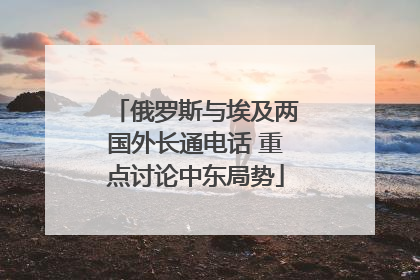 俄罗斯与埃及两国外长通电话 重点讨论中东局势