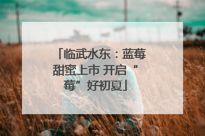 临武水东：蓝莓甜蜜上市 开启“莓”好初夏