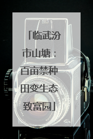 临武汾市山塘：百亩禁种田变生态致富园