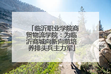 临沂职业学院商贸物流学院：为临沂商城向新向前培养排头兵主力军