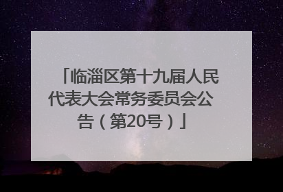 临淄区第十九届人民代表大会常务委员会公告（第20号）