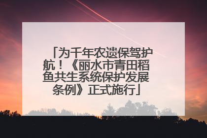 为千年农遗保驾护航！《丽水市青田稻鱼共生系统保护发展条例》正式施行