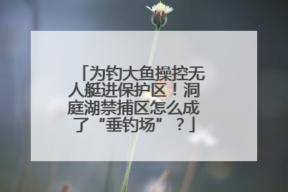 为钓大鱼操控无人艇进保护区！洞庭湖禁捕区怎么成了“垂钓场”？